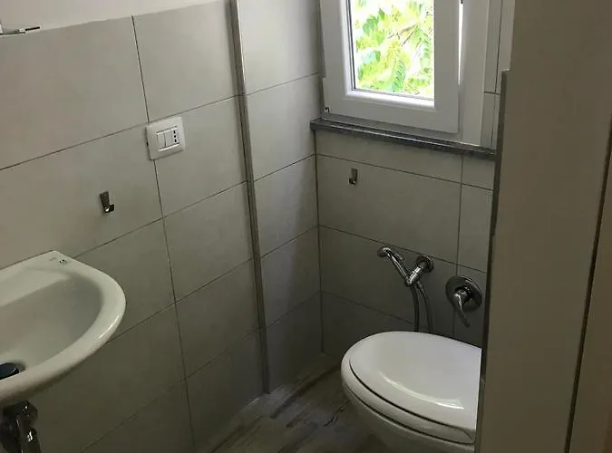 Lexington بيت شباب *